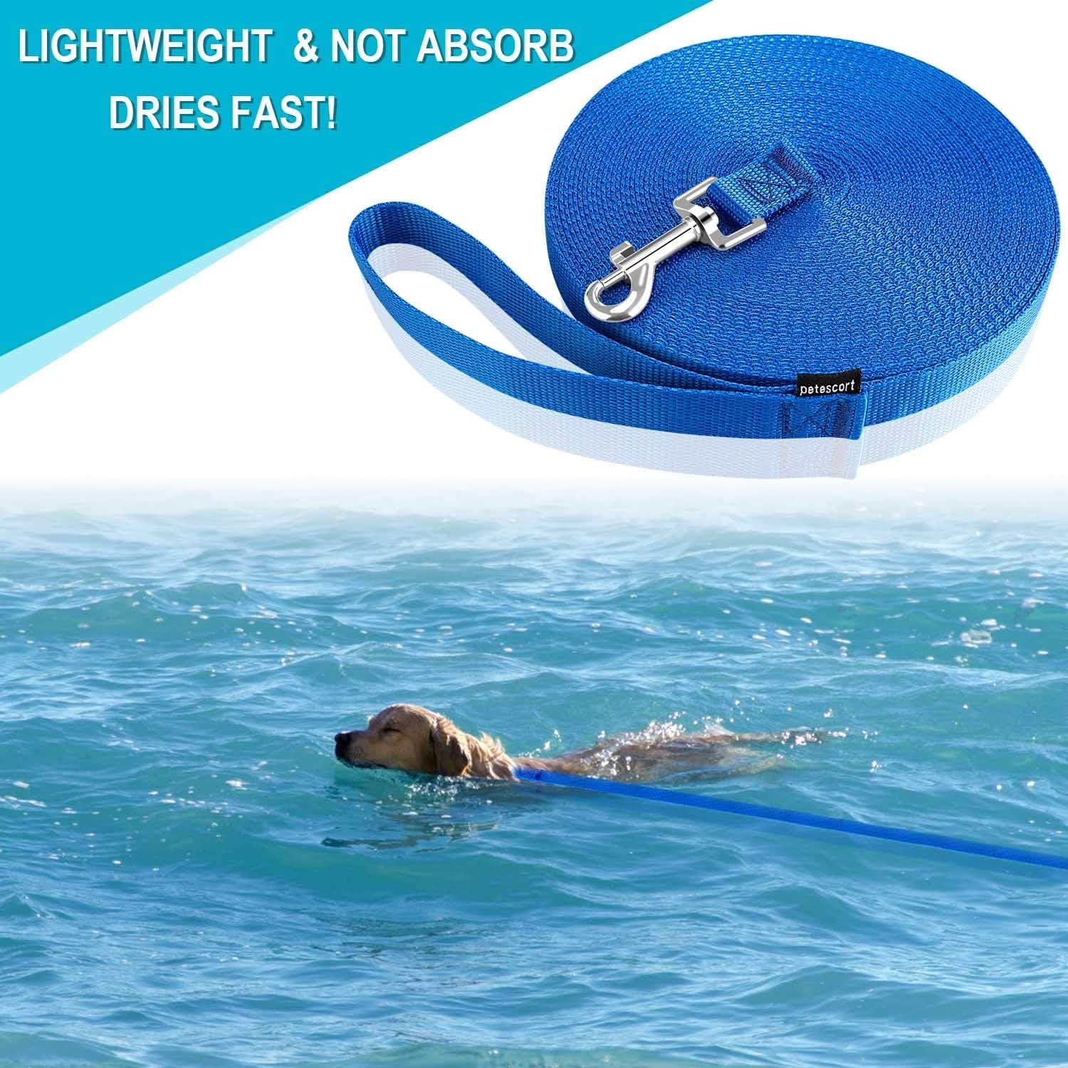 Dog/Puppy/Cat 15 Ft, 20 Ft, 30 Ft, 50 Ft Long Leash for Dog Cat Training, Play, Camping for Small, Medium Dogs or Cats(20 Feet,Blue)