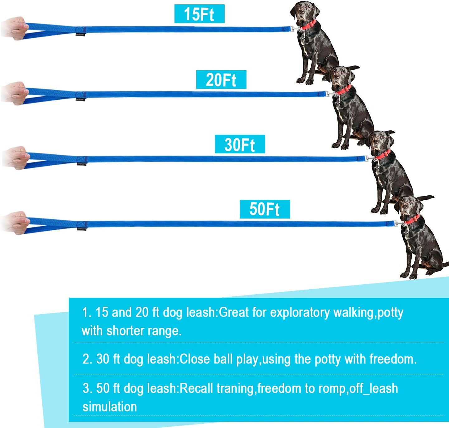 Dog/Puppy/Cat 15 Ft, 20 Ft, 30 Ft, 50 Ft Long Leash for Dog Cat Training, Play, Camping for Small, Medium Dogs or Cats(20 Feet,Blue)